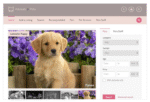 Marketplace and Classifieds PHP Scripts - Image 3