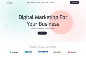 Assan - Digital Marketing Agency WordPress Theme - Nulled Download - EmpireGPL