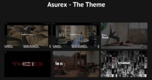 Asurex - WordPress Theme - Nulled Download - EmpireGPL