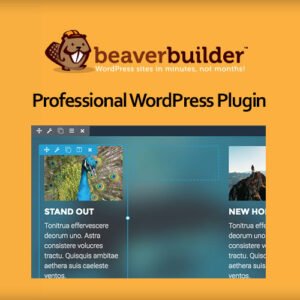 Beaver Builder Plugin (Pro Version) - Nulled Download - EmpireGPL