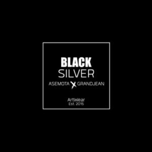Blacksilver - Photography Theme for WordPress - Nulled Download - EmpireGPL