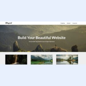 Blogrid Premium Theme + Child Themes by Superb Themes - Nulled Download - EmpireGPL