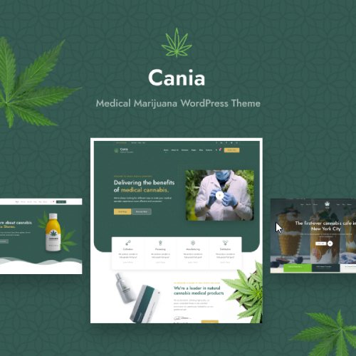 Cania - Marijuana Medical WordPress - Nulled Download - EmpireGPL