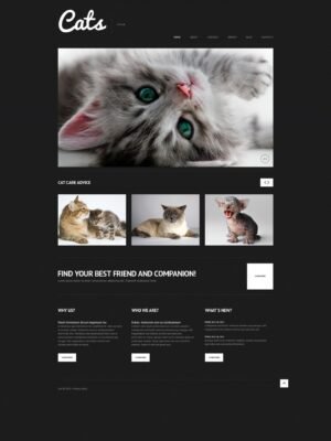 Cat Responsive WordPress Theme - Nulled Download - EmpireGPL