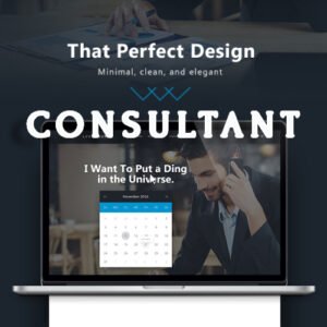 Consultant - WordPress Theme - Nulled Download - EmpireGPL