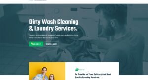 DirtyWash – Laundry Service WordPress Theme - Nulled Download - EmpireGPL
