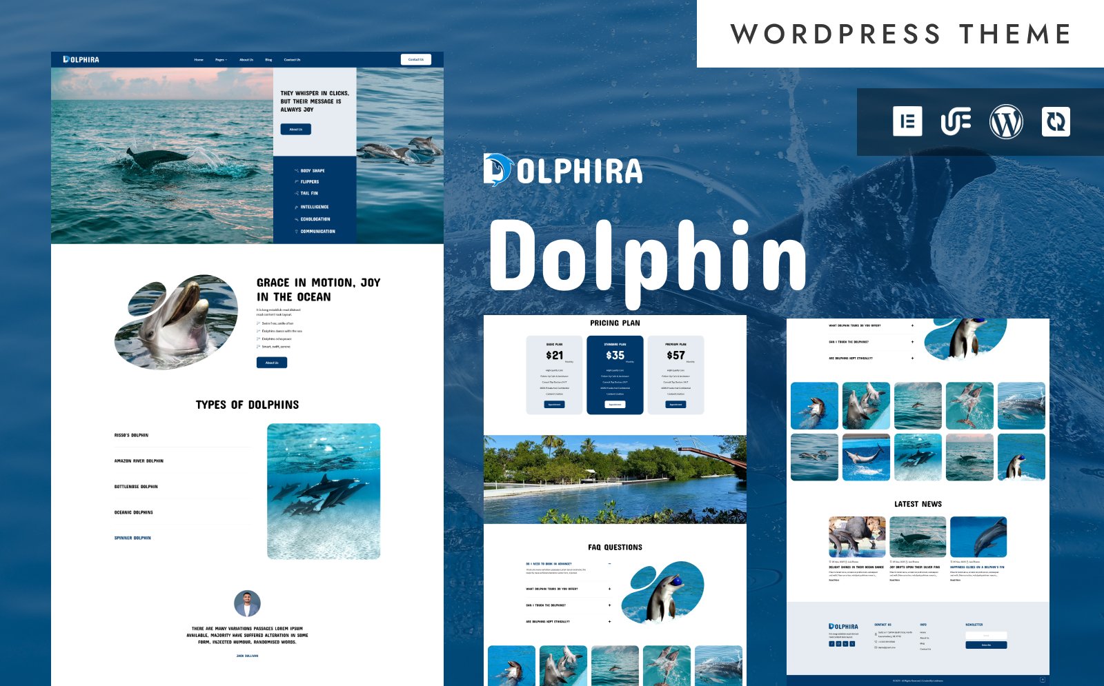 Dolphira - Dolphin Show, Amusement Parks And Fun Aquatic WordPress Elementor Theme WordPress Theme - Nulled Download - EmpireGPL