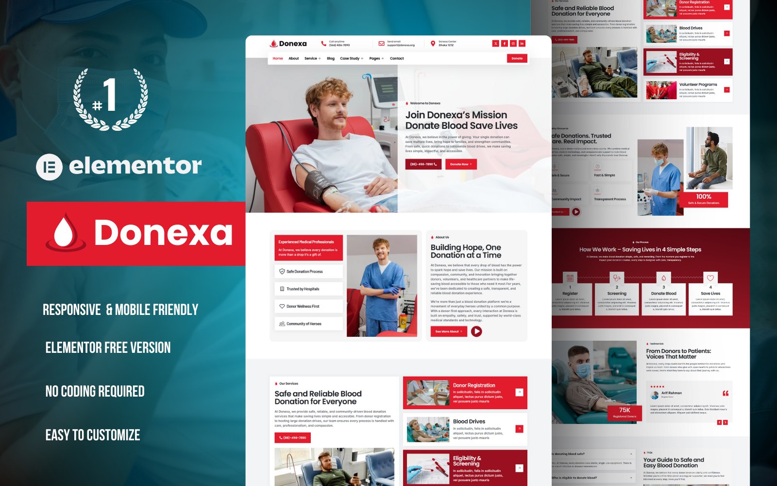Donexa – Blood Donation Campaign & Activism Elementor Template Kit Elementor Kit - Nulled Download - EmpireGPL