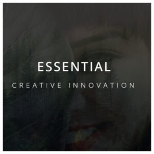 Essential Responsive Minimal WordPress Theme - Nulled Download - EmpireGPL