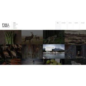 Fullscreen - Photography Portfolio Drupal Theme - Nulled Download - EmpireGPL