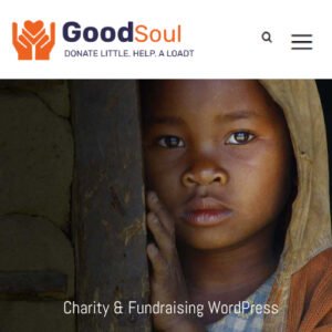 GoodSoul - Charity & Fundraising WordPress Theme - Nulled Download - EmpireGPL
