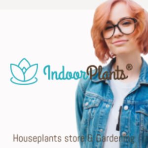 Indoor Plants - Houseplants store & Gardening WordPress Theme - Nulled Download - EmpireGPL