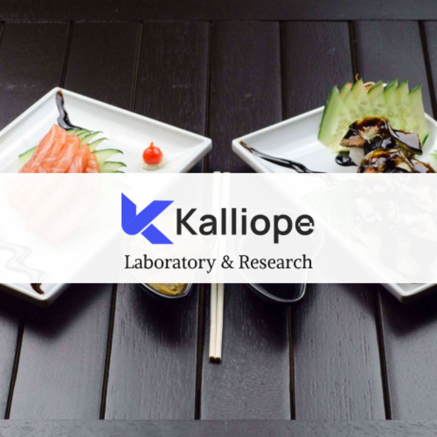 Kalliope - Modern Blog WordPress Theme - Nulled Download - EmpireGPL
