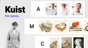 Kuist - Portfolio WordPress Theme for Series - Nulled Download - EmpireGPL