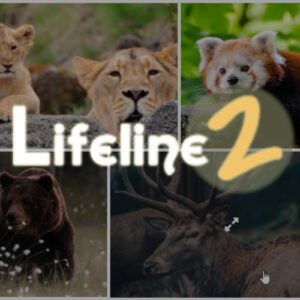 Lifeline 2 - An Ultimate Nonprofit WordPress Theme for Charity, Fundraising and NGO Organizations - Nulled Download - EmpireGPL