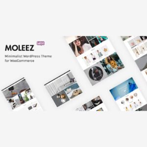 Moleez - Minimalist WordPress Theme for WooCommerce - Nulled Download - EmpireGPL