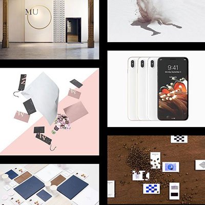 Namos - Creative One/Multi-Page Portfolio WordPress Theme - Nulled Download - EmpireGPL