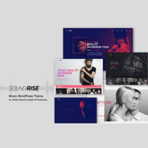 SoundRise - Artists, Producers and Record Labels Theme - Nulled Download - EmpireGPL