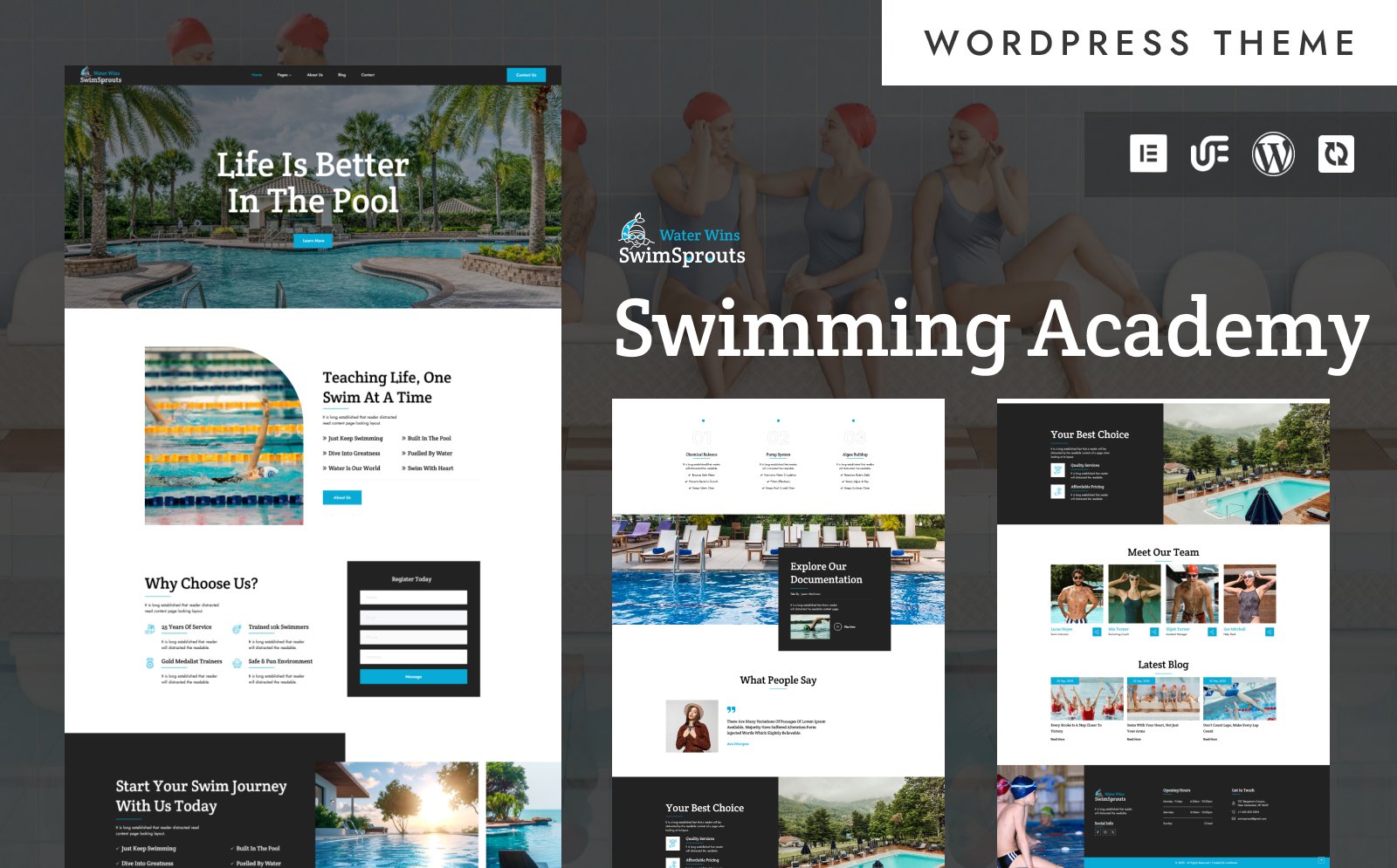SwimSprouts - Swimming Academy & School WordPress Elementor Theme WordPress Theme - Nulled Download - EmpireGPL