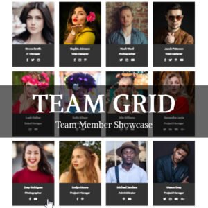 Team Grid - Team Member Showcase WordPress Plugin & Team Editor - Nulled Download - EmpireGPL