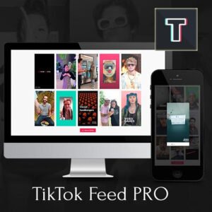 TikTok Feed PRO - Nulled Download - EmpireGPL