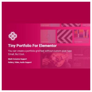 Tiny Portfolio Widget For Elementor - Nulled Download - EmpireGPL