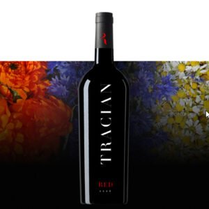 Tracian - Wine WordPress Theme - Nulled Download - EmpireGPL