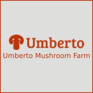 Umberto Mushroom Farm & Organic Products Store Theme - Nulled Download - EmpireGPL