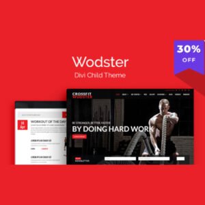 Wodster Theme - Nulled Download - EmpireGPL