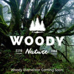 Woody Elementor Coming Soon WordPress Theme - Nulled Download - EmpireGPL