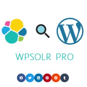 WPSOLR PRO - WordPress Theme - Nulled Download - EmpireGPL