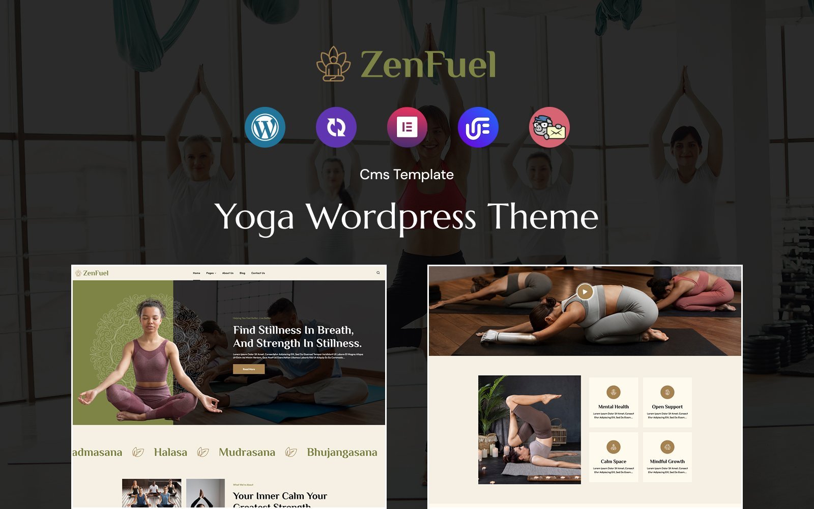 ZenFuel - Yoga WordPress theme WordPress Theme - Nulled Download - EmpireGPL