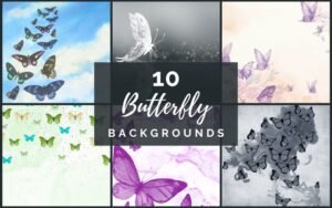 10 Butterfly Backgrounds | Extended License