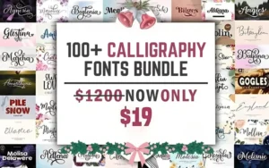 100+ Calligraphy Fonts Bundle | Extended License