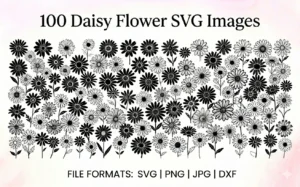100 Daisy Flower SVG Images | Extended License