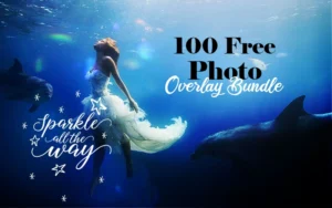 100 Free Photo Overlay Bundle | Extended License