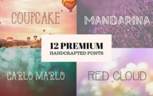12 Premium Handcrafted Fonts | Extended License