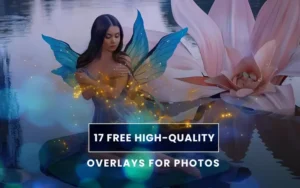 17 Free High-Quality Overlays For Photos | Extended Commercial License