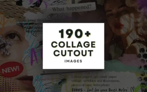 190+ Collage Cutout Images Bundle | Commercial License