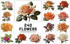 240 Rose Images Bundle - Transparent PNG | Commercial License