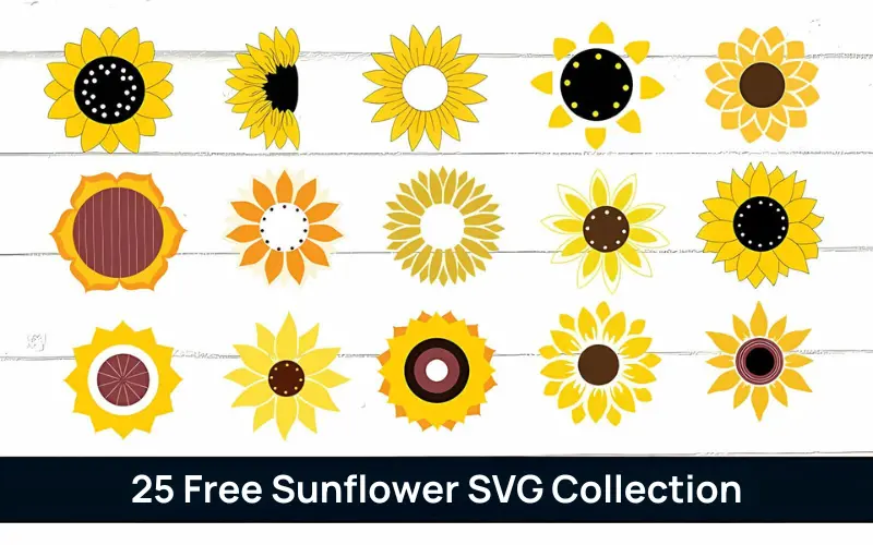 25 Free Sunflower SVG Collection | Extended License