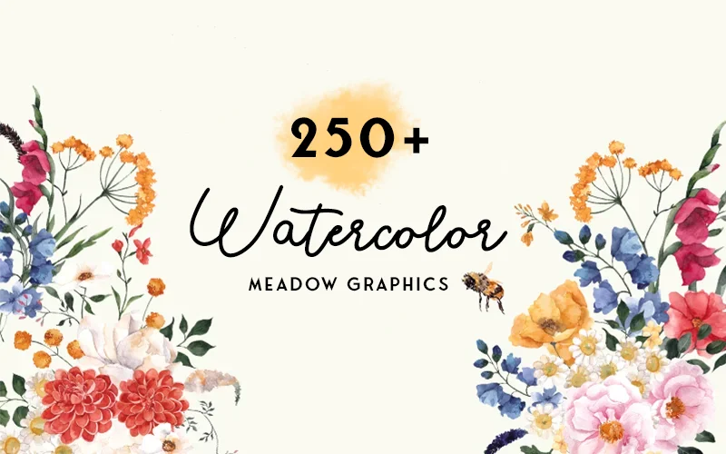 250+ Watercolor Meadow Graphics | Extended License