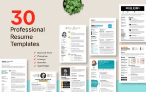 30 Professional Resume Templates | Extended License