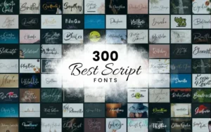 300 Best Script Fonts Bundle | Extended License
