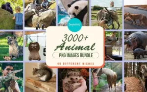 3000+ Animal PNGs Bundle | Extended Commercial License