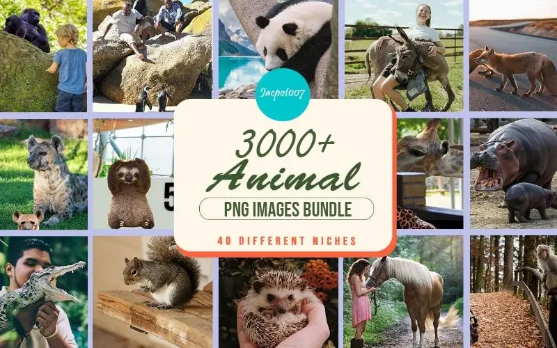 3000+ Animal PNGs Bundle | Extended Commercial License