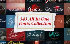 343 All-In-One Fonts Collection | Extended License