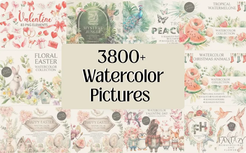 3800+ Watercolor Pictures Bundle | Extended License