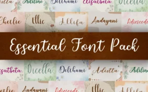 40+ Essential Font Pack | Extended License