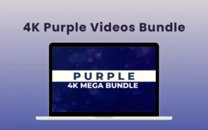 4K Purple Videos Bundle | Extended Commercial License